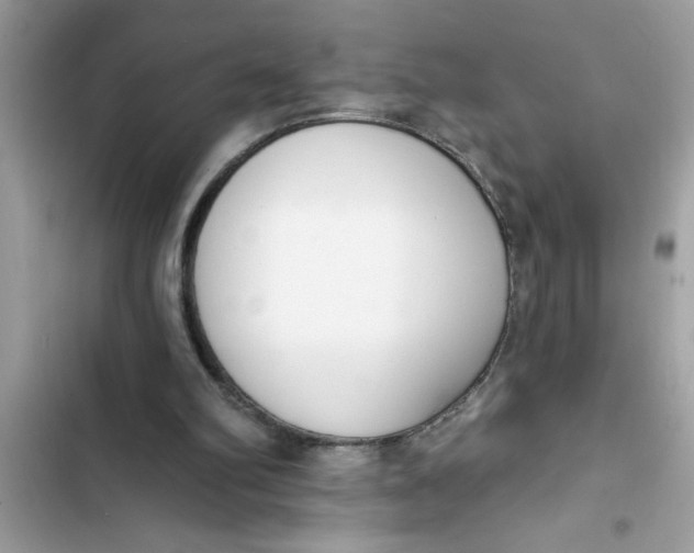 X0000103260102200809191728