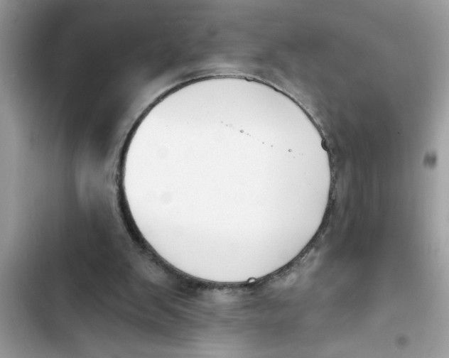 X0000103260103200809191728