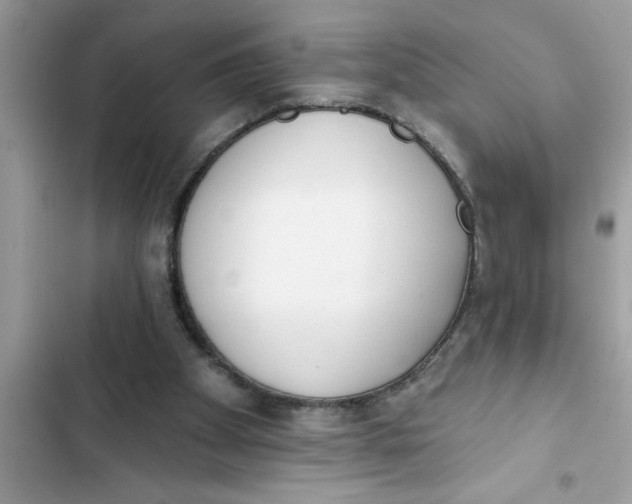 X0000103260105200809191728