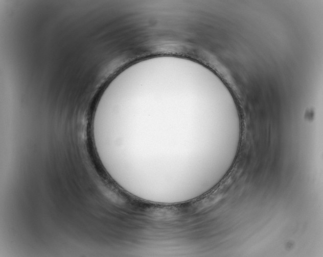 X0000103260106200809191728