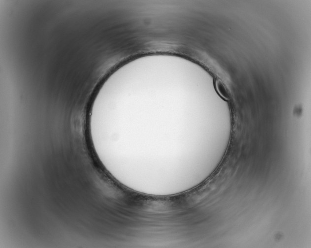 X0000103260107200809191728