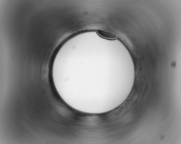 X0000103260108200809191728