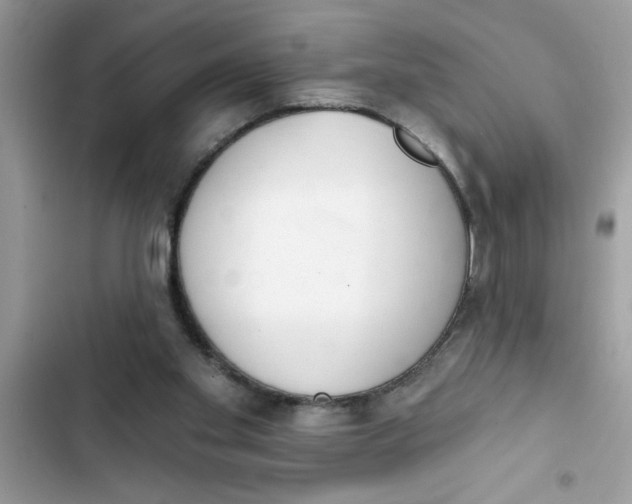 X0000103260109200809191728