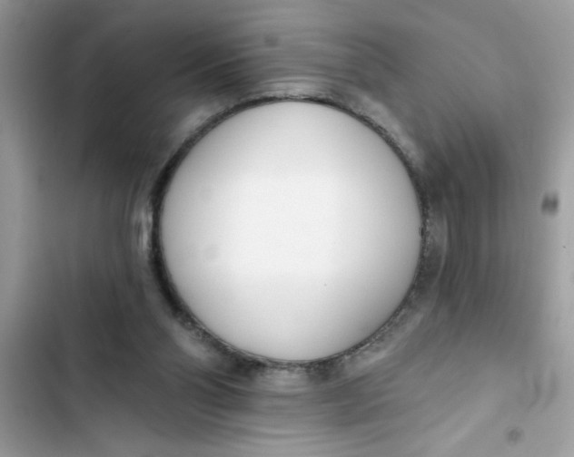 X0000103260110200809191728