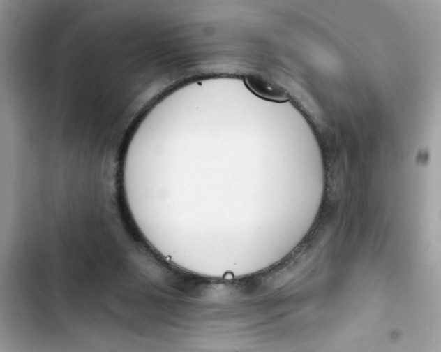 X0000103260111200809191728