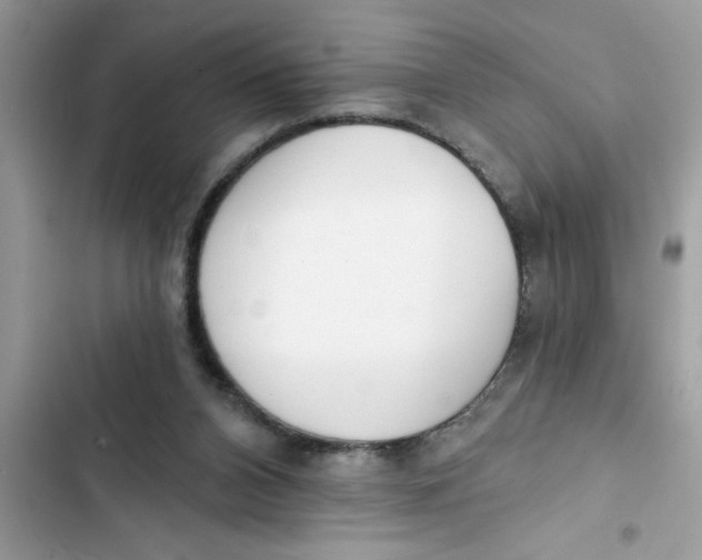 X0000103260112200809191728