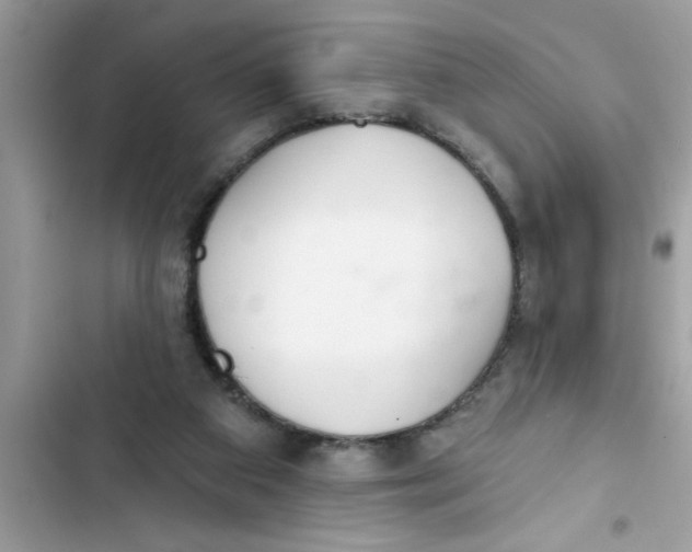 X0000103260113200809191728