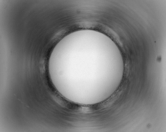 X0000103260114200809191728