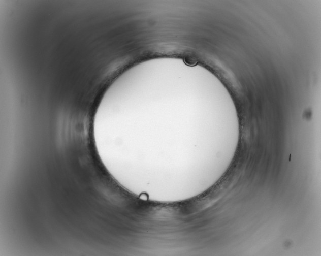 X0000103260115200809191728