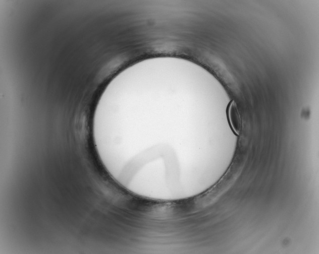 X0000103260116200809191728