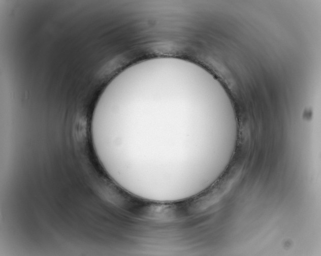 X0000103260117200809191728