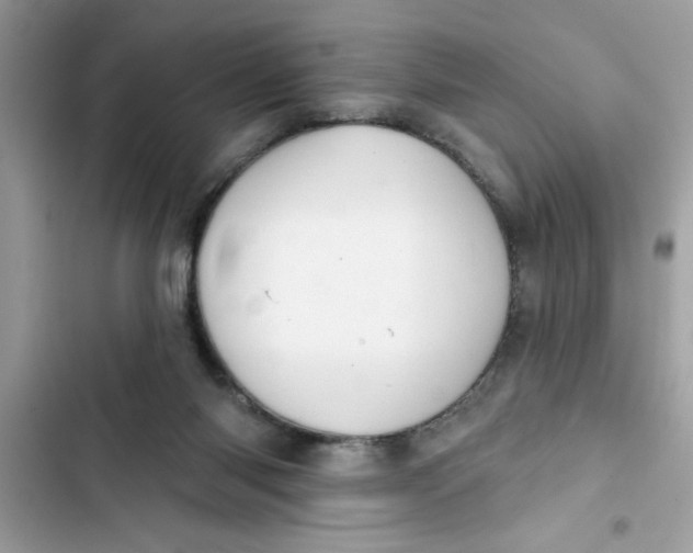 X0000103260118200809191728