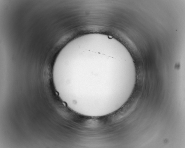 X0000103260119200809191728