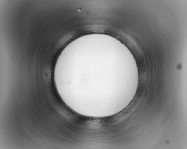 X0000103260120200809191728