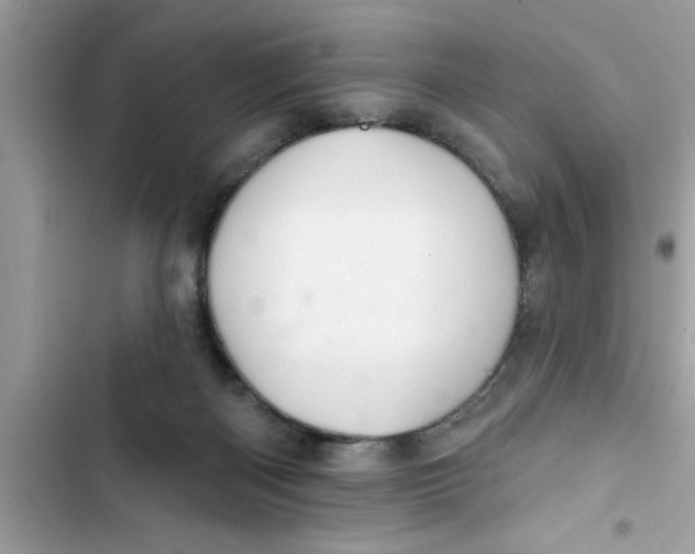 X0000103260122200809191728