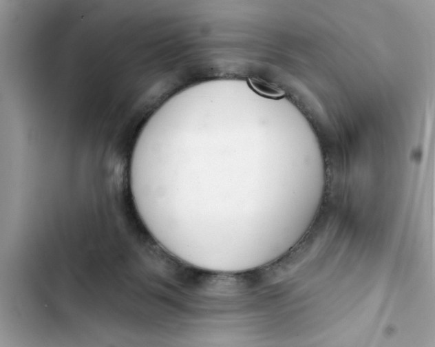 X0000103260123200809191728