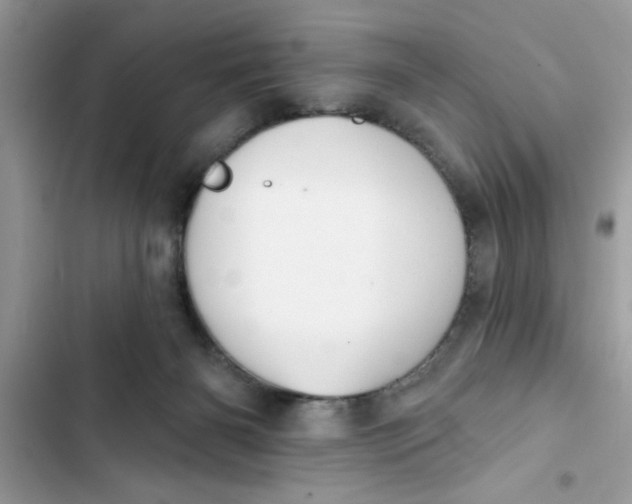 X0000103260126200809191728