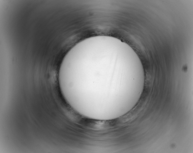 X0000103260130200809191728