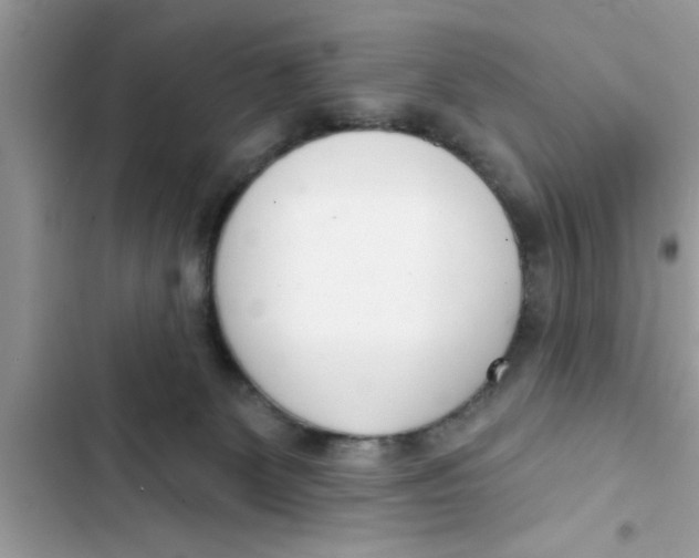 X0000103260131200809191728