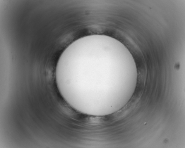 X0000103260134200809191727