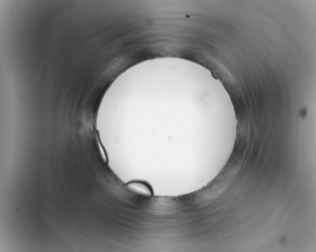 X0000103260141200809191727