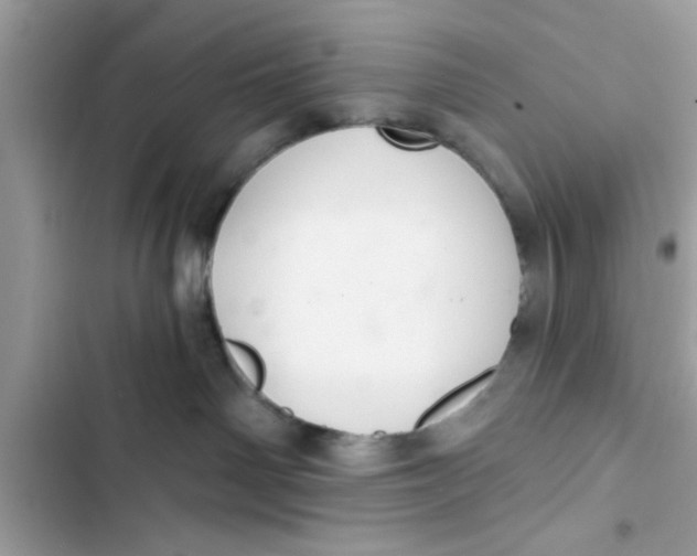 X0000103260142200809191727