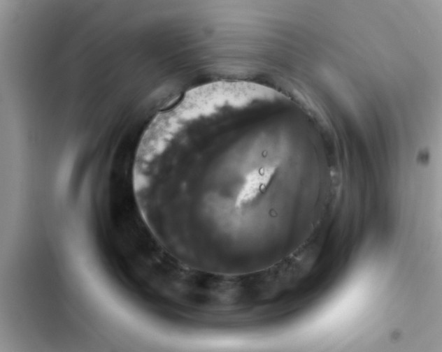 X0000103260143200809191727