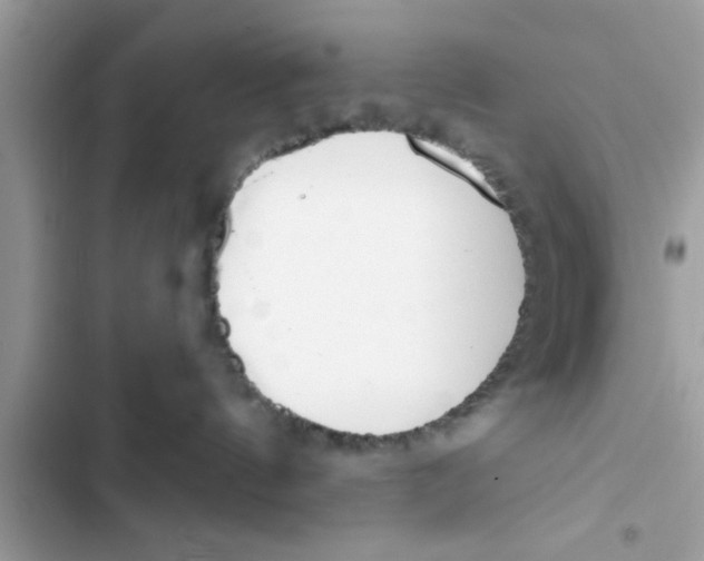 X0000103260144200809191727