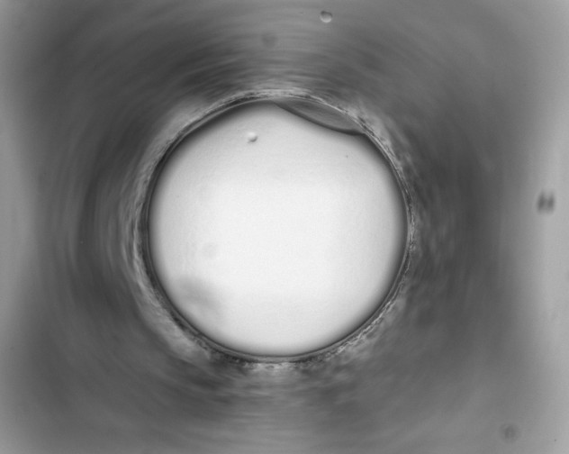 X0000103260145200809191727