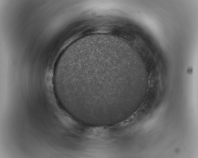 X0000103260146200809191727