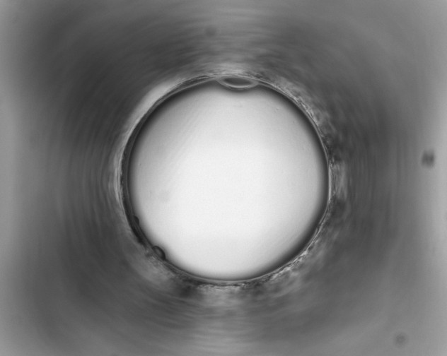 X0000103260147200809191727