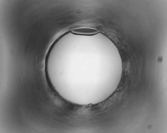 X0000103260148200809191727