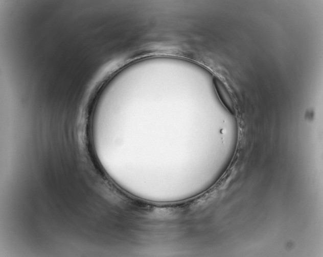 X0000103260149200809191727