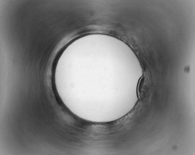 X0000103260150200809191727