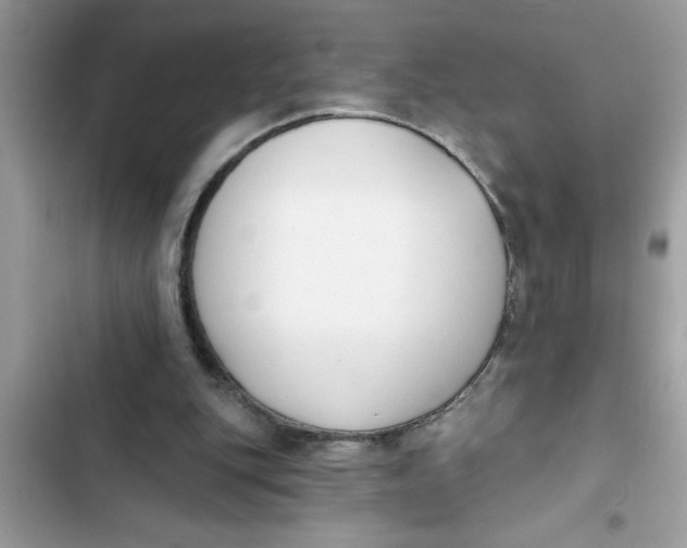 X0000103260151200809191727