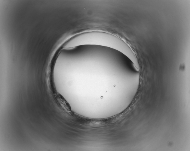 X0000103260152200809191727