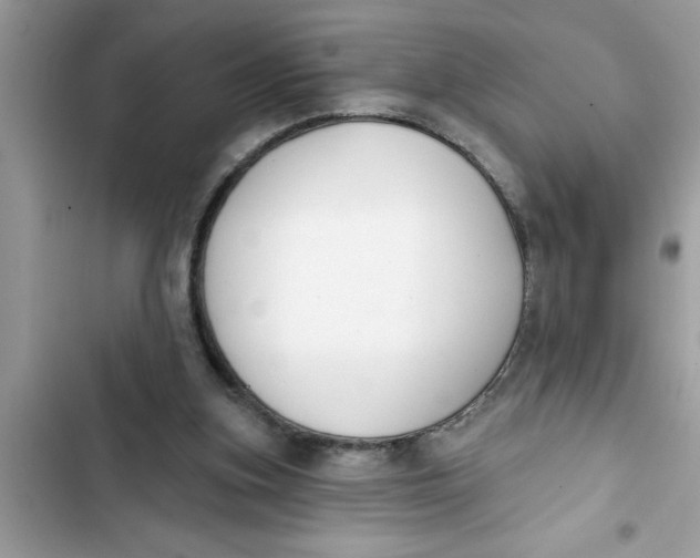 X0000103260155200809191727