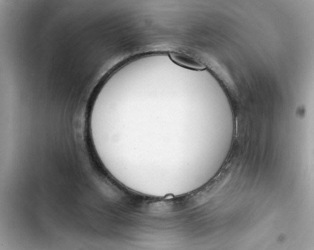 X0000103260156200809191727