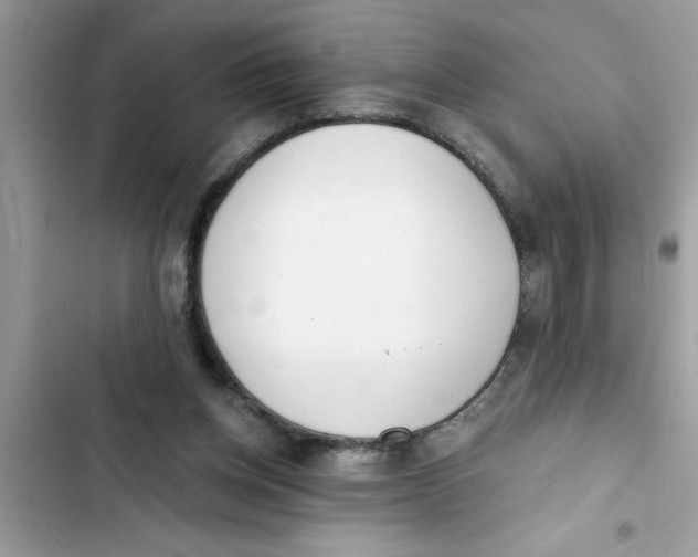 X0000103260158200809191727