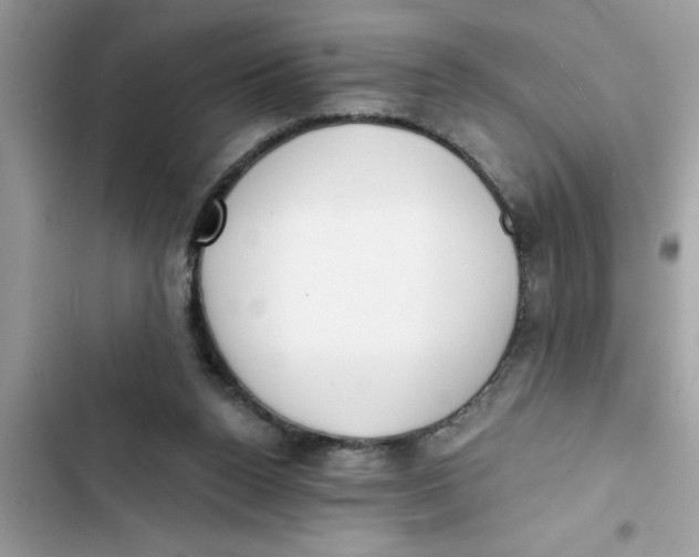 X0000103260160200809191727