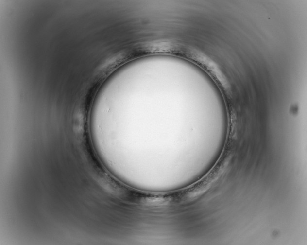 X0000103260161200809191727