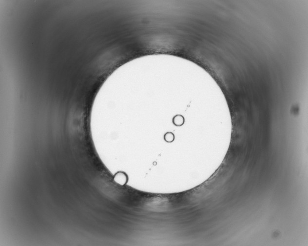 X0000103260162200809191727