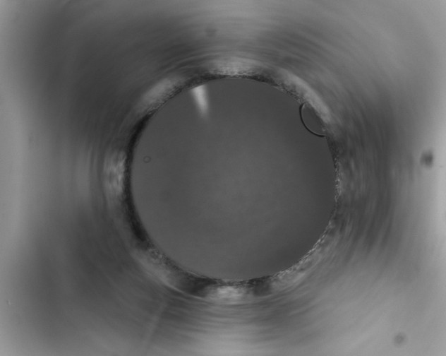 X0000103260163200809191727