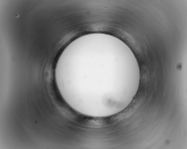 X0000103260164200809191727