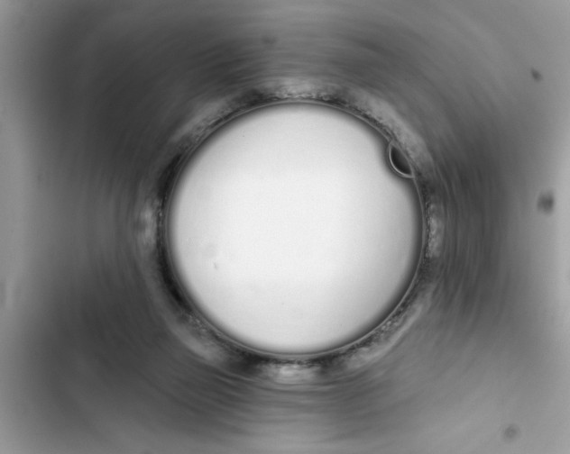 X0000103260165200809191727