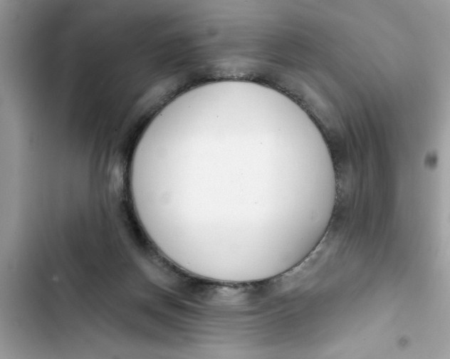 X0000103260166200809191727