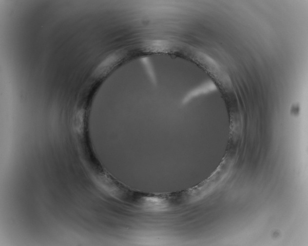 X0000103260167200809191727