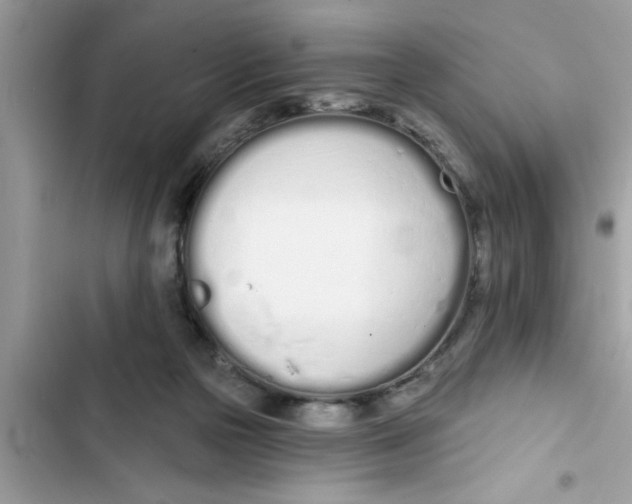 X0000103260169200809191727