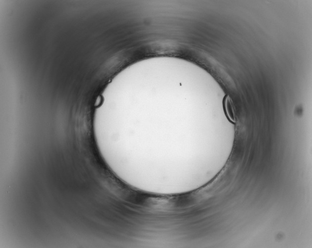 X0000103260170200809191727