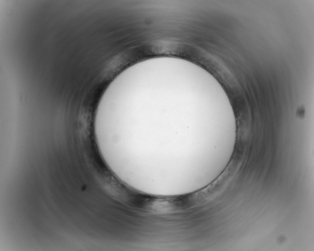 X0000103260171200809191727